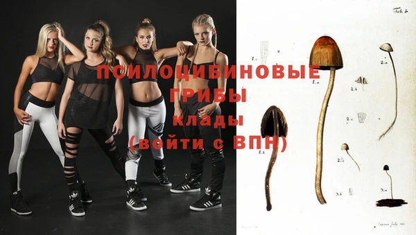 синтетический гашиш Козловка