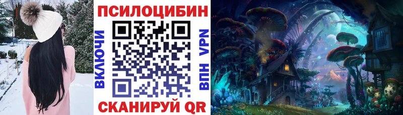 наркота  даркнет наркотические препараты  Псилоцибиновые грибы Magic Shrooms  Михайловка 